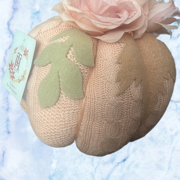 new - Holiday Fall Pumkin Decor - Picture 2 of 7